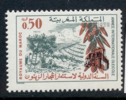 Morocco 1970 Intl. Olive Year