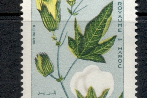 Morocco 1967 Cotton