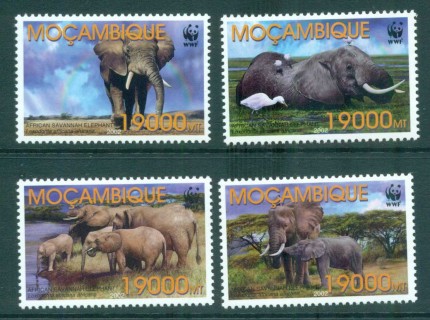 Mozambique-2002 WWF Savannah Elephant