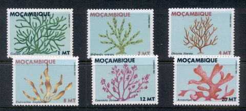 Mozambique-1983-Seaweed-MUH