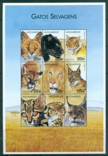 Mozambique-2000-Wild-Cats-MS-MUH