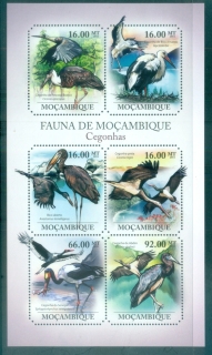 Mozambique-2011-Bird_10