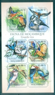 Mozambique-2011-Bird_7