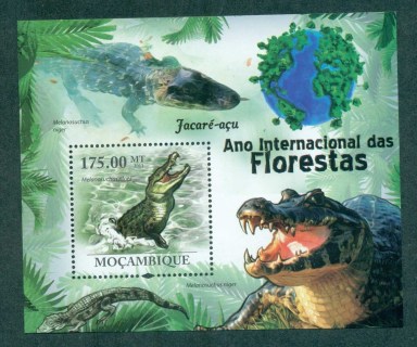 Mozambique-2011-Reptiles_6