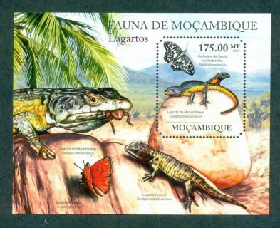 Mozambique-2011-Reptiles_7