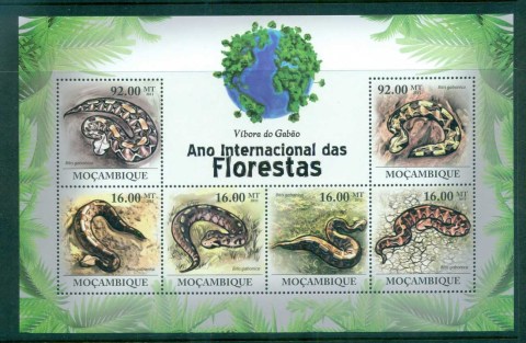 Mozambique-2011-Reptiles_8