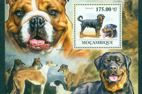 Mozambique-2011-Animals