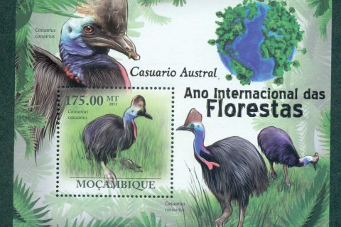 Mozambique-2011-Birds