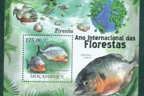 Mozambique-2011-Fish