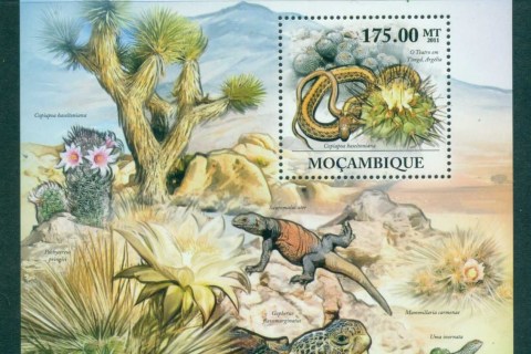 Mozambique-2011-Flora