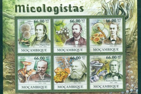 Mozambique-2011-Funghi