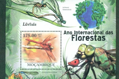 Mozambique-2011-Insects