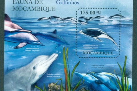 Mozambique-2011-Marine-Life