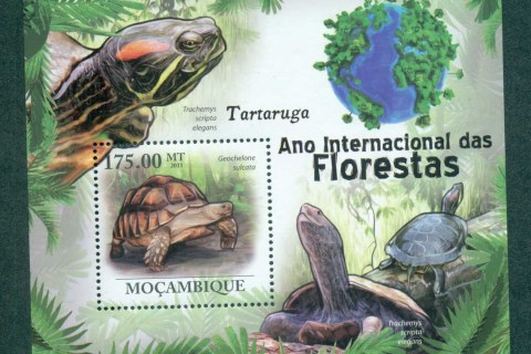 Mozambique-2011-Reptiles