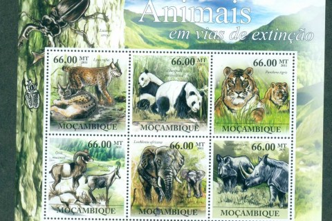 Mozambique-2011-Wildlife