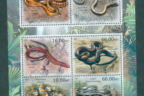 Mozambique-2012-Reptiles