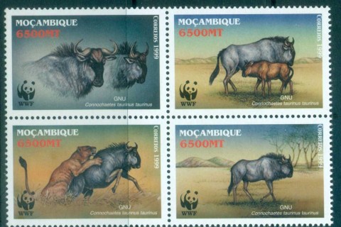 Mozambique-2000 WWF Blue Wildebeest