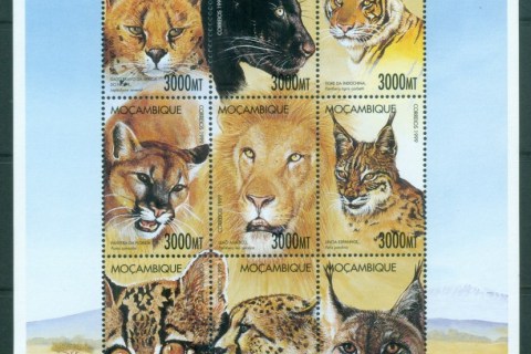 Mozambique-2000-Wild-Cats-MS-MUH