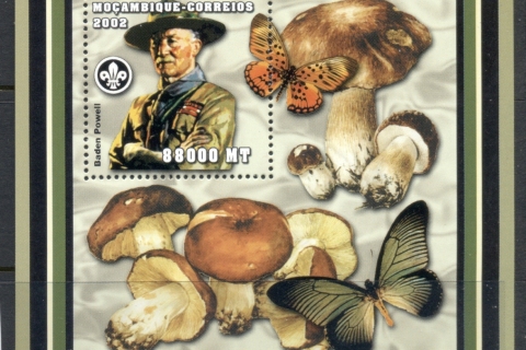 Mozambique-2002-Butterflies