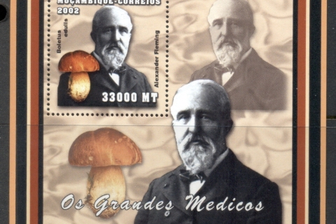 Mozambique-2002-Famous-Doctors