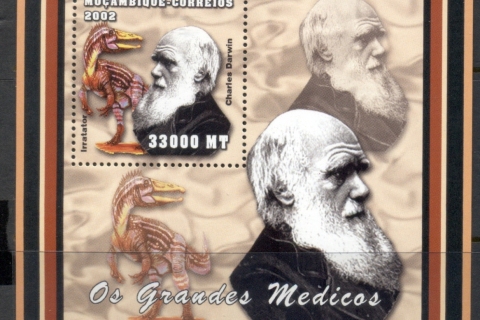 Mozambique-2002-Famous-Doctors_1