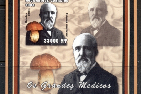 Mozambique-2002-Famous-Doctors_2