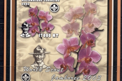 Mozambique-2002-Flowers