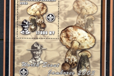 Mozambique-2002-Funghi