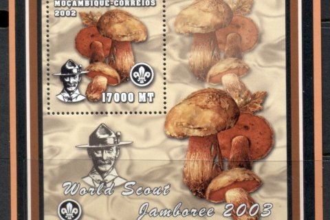 Mozambique-2002-Funghi_2