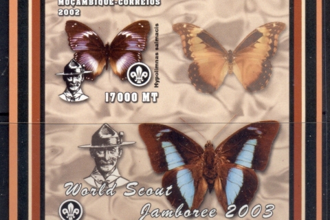 Mozambique-2002-Insects