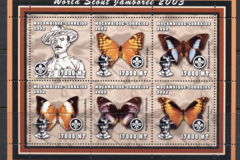 Mozambique-2002-Insects_2