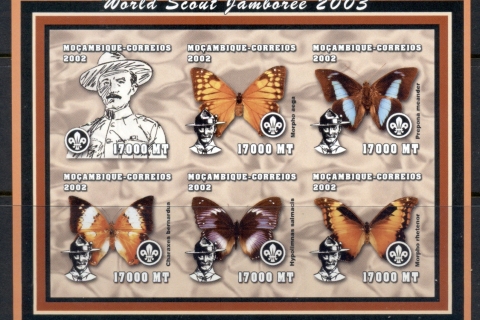 Mozambique-2002-Insects_3