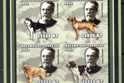 Mozambique-2002-Louis-Pasteur