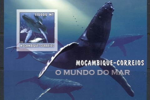 Mozambique-2002-The-Sea-World_14