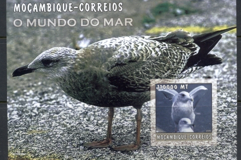 Mozambique-2002-The-Sea-World_21