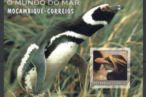 Mozambique-2002-The-Sea-World_35