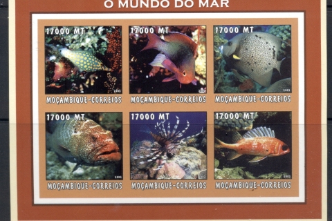 Mozambique-2002-The-Sea-World_41