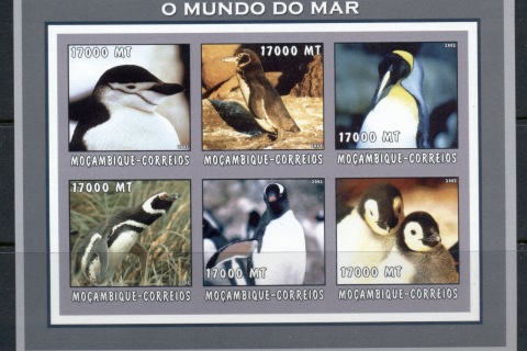 Mozambique-2002-The-Sea-World_76