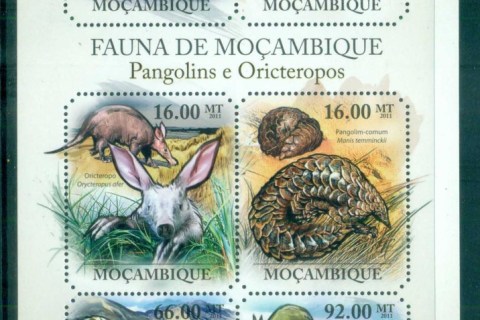 Mozambique-2011-African-Wildlife_14