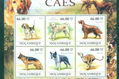 Mozambique-2011-Animals