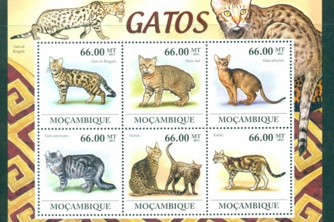 Mozambique-2011-Animals_1