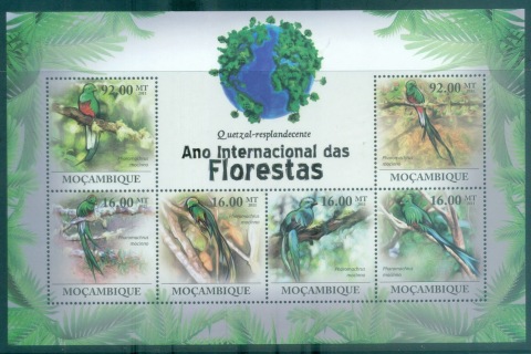 Mozambique-2011-Bird_1