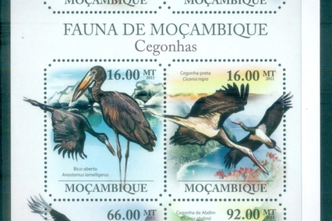 Mozambique-2011-Bird_10
