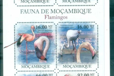 Mozambique-2011-Bird_11