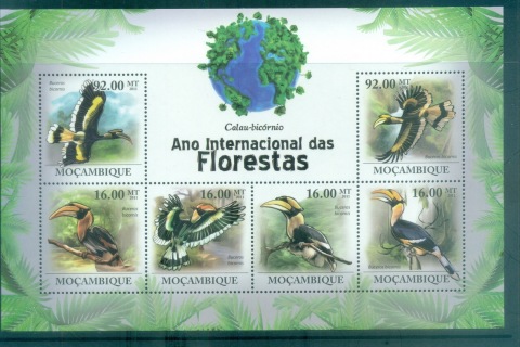 Mozambique-2011-Bird_2