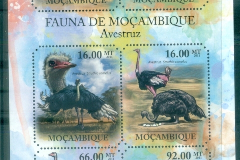 Mozambique-2011-Bird_3
