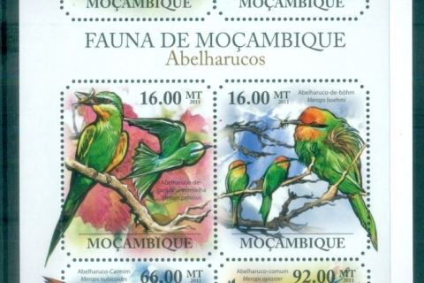 Mozambique-2011-Bird_4
