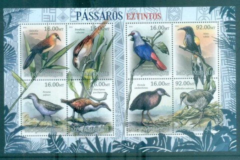 Mozambique-2011-Bird_5