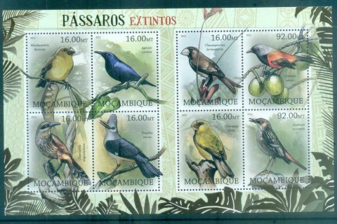 Mozambique-2011-Bird_6