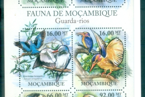 Mozambique-2011-Bird_7